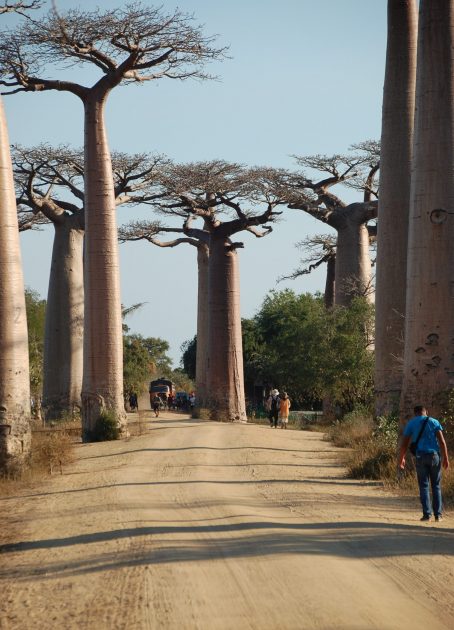 pexels-beau-botschuijver-4153968